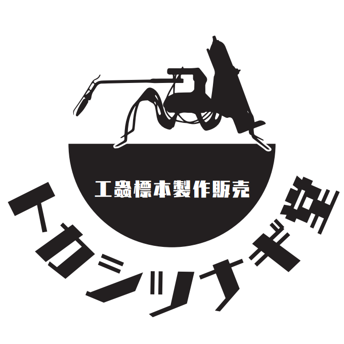 サンカクさん 楽天市場】【クーポン&マステの日!9日01:59まで】くれたけ 呉竹